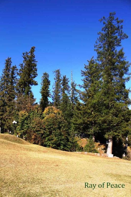 remembering banjosa lake.jpg